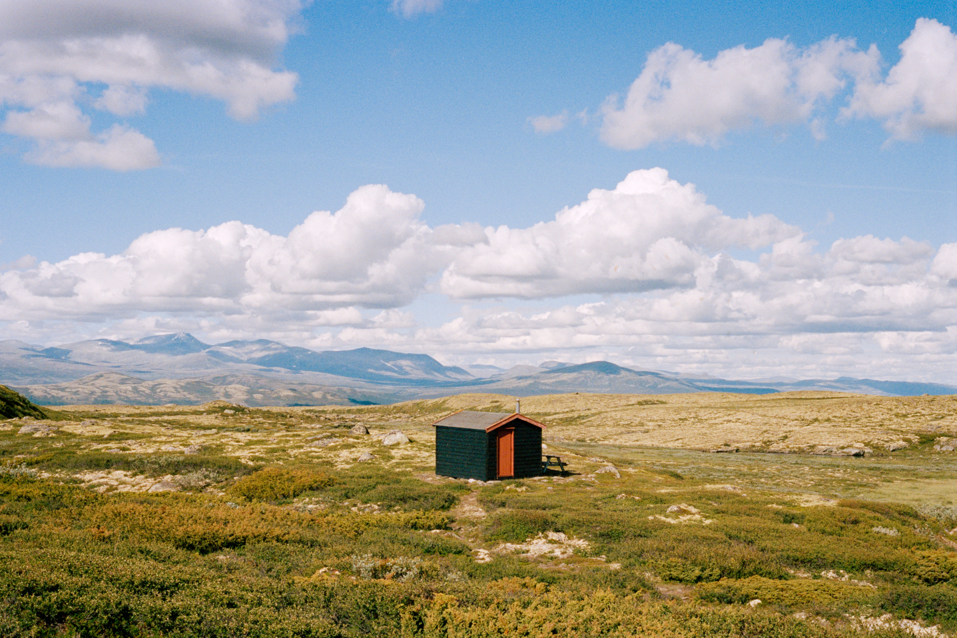 [Linket bilde fra olelovold.com]